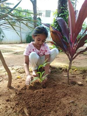 A child planting a sapling in the garden at Adra